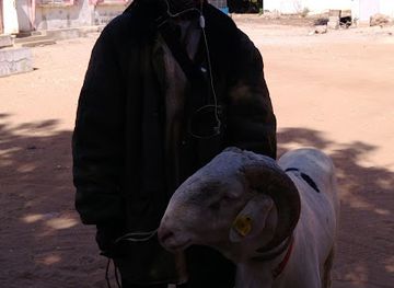 senegal/fatick/landmark/mosquee-de-fatick