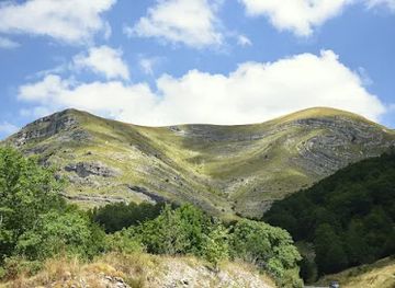 montenegro/durmitor/landmark/private-cabin-in-the-woods