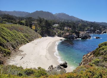 california/carmel-by-the-sea/landmark/point-lobos-state-natural-reserve