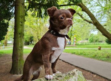 belgium/county-of-namur/landmark/jardin-jean-chalon