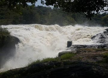 uganda/murchison-falls-national-park/landmark/gorilla-trips-uganda-murchison-falls-safaris