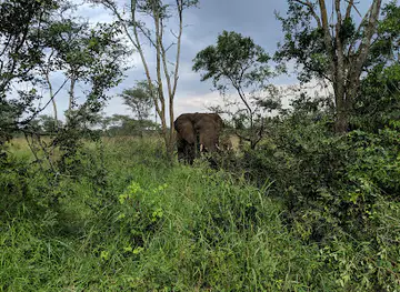 Akagera National Park North Gate (Exit Only)