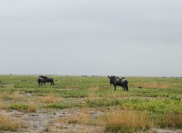 zambia/luangwa-valley/landmark/liuwa-plain-national-park