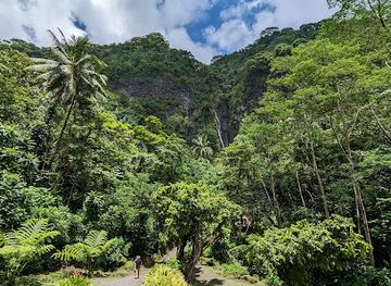 french-polynesia/tahiti-iti/landmark/3-cascades