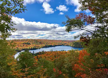 Haliburton Forest & Wild Life Reserve Ltd