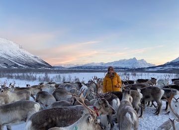 norway/tromso/landmark/tromso-lapland