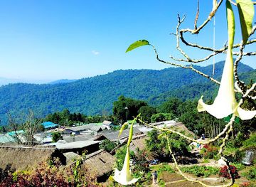thailand/doi-suthep-pui-national-park/landmark/hmong-doi-pui-village
