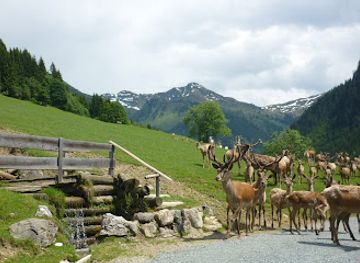 austria/otztal/landmark/wildpark-aurach