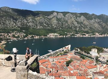 montenegro/kotor-bay/landmark/kotor-cats-museum