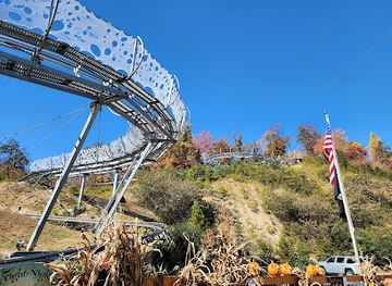 tennessee/pigeon-forge/landmark/rocky-top-mountain-coaster
