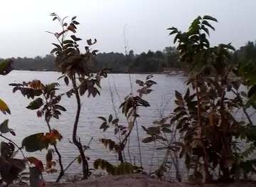 Oasis and Trails