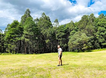 australia/yarra-valley/landmark/black-spur-drive