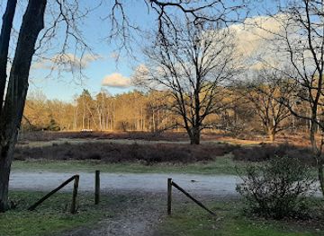 netherlands/hoge-veluwe-national-park/landmark/de-big-5-van-otterlo