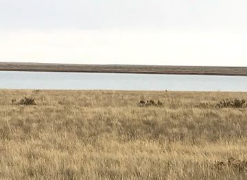 kazakhstan/kolsai-lakes-national-park/landmark/korgalzhyn-nature-reserve