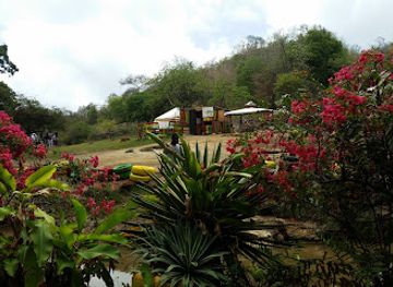 grenada/westerhall/landmark/river-sallee-boiling-springs