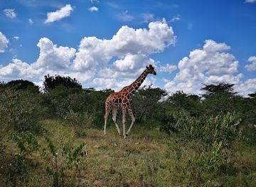 kenya/samburu-national-reserve/landmark/mugie-wildlife-conservancy