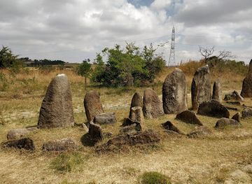 ethiopia/debre-libanos-monastery/landmark/tiya-world-heritage-site