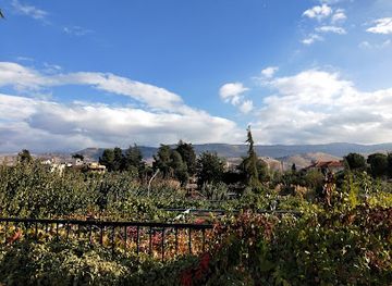 lebanon/bekaa-valley/landmark/chateau-rayak