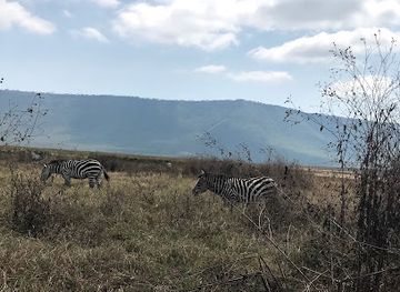 tanzania/ngorongoro-conservation-area/landmark/lodoare-gate-ngorongoro