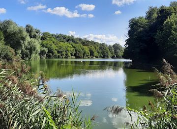 ukraine/kyiv/holosiivskyi-district/landmark/ekostezhka-v-golosiivskomu-parku