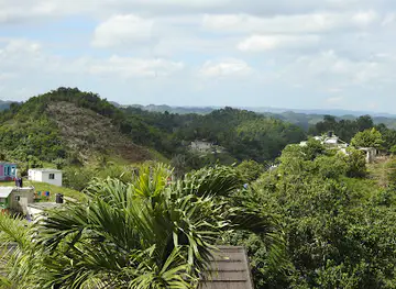 Bob Marley Museum