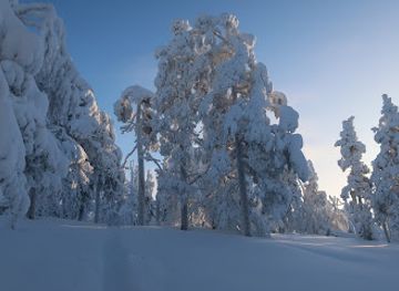 finland/pyha-luosto-national-park/landmark/luostotunturit