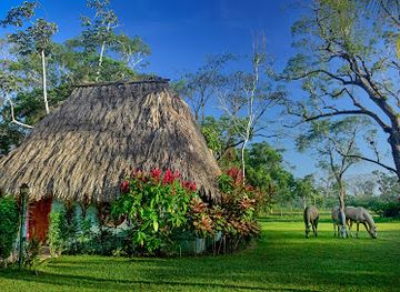 belize/mountain-pine-ridge/landmark/banana-bank-lodge-jungle-horseback-adventures