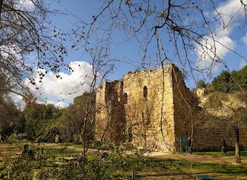 israel/judea/landmark/ein-hemed-national-park