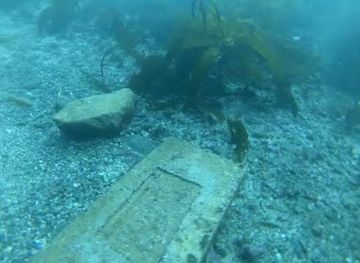 california/la-jolla/landmark/tombstones-memorials
