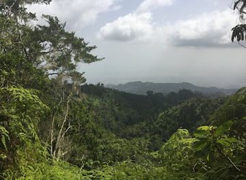 Blue Mountain Peak