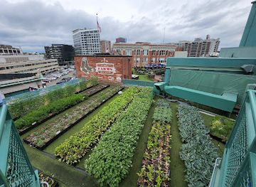 massachusetts/boston/fenway-kenmore/landmark/fenway-park