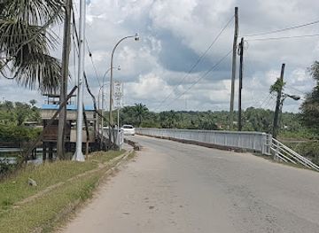guyana/linden/landmark/wismar-mackenzie-bridge