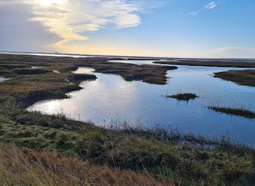 united-kingdom/essex/landmark/national-trust-copt-hall-marshes