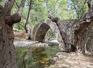 cyprus/paphos-forest/landmark/tzelefos-bridge