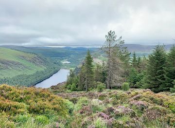 ireland/glendalough/landmark/st-kevin-s-bed