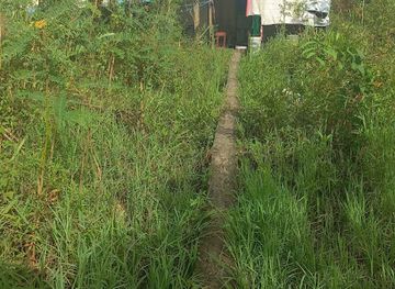 indonesia/makassar/landmark/rumah-sudut-alor-makassar