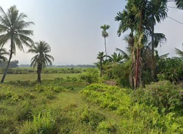 indonesia/west-sumatra/landmark/sawah