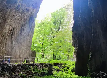 Skjocjan Cave