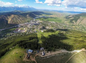 wyoming/snow-king-mountain-resort/landmark/treetop-adventure-park-at-snow-king-mountain