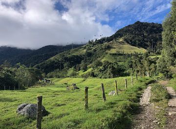 colombia/cocora-valley/landmark/valle-de-cocora