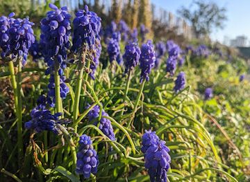 france/rennes/thabor-saint-helier/landmark/quai-des-deportes