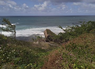 barbados/bathsheba/landmark/zemi-east-coast-cafe