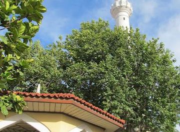 greece/rhodes/landmark/ibrahim-pasha-mosque