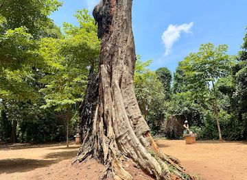 benin/couffo/landmark/sacred-forest