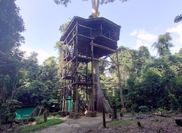 ghana/aburi/landmark/kakum-national-park