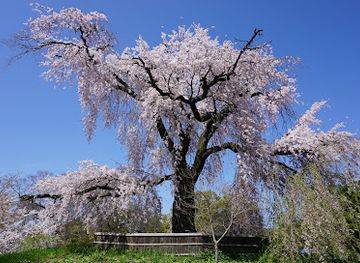 japan/kinki-kansai/landmark/maruyama-park