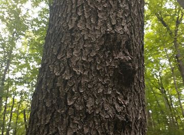 pennsylvania/western-pennsylvania/landmark/tri-state-line-pennsylvania-ohio-west-virginia