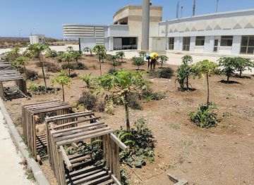 cabo-verde/assomada/landmark/pele-stadium