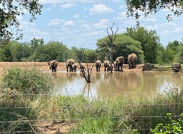 south-africa/pilanesberg-national-park/landmark/black-rhino-game-reserve