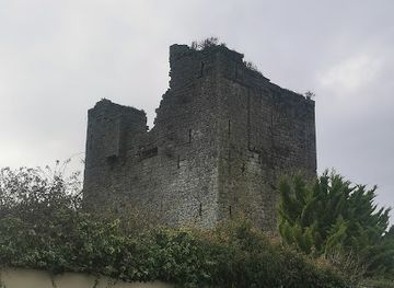 ireland/county-carlow/landmark/the-black-castle